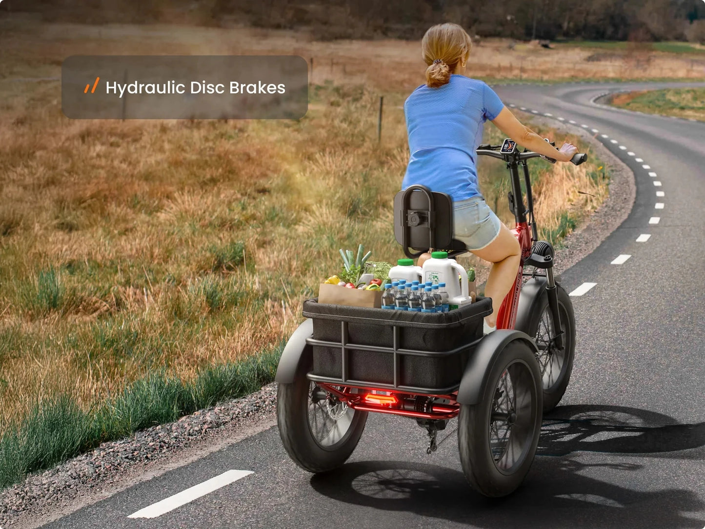 PUCKIPUPPY Husky Electric Trike for Adult 960W Peak Motor 60 Miles Range Pickup Class Tricycle 500 Lbs Load Electric Trike