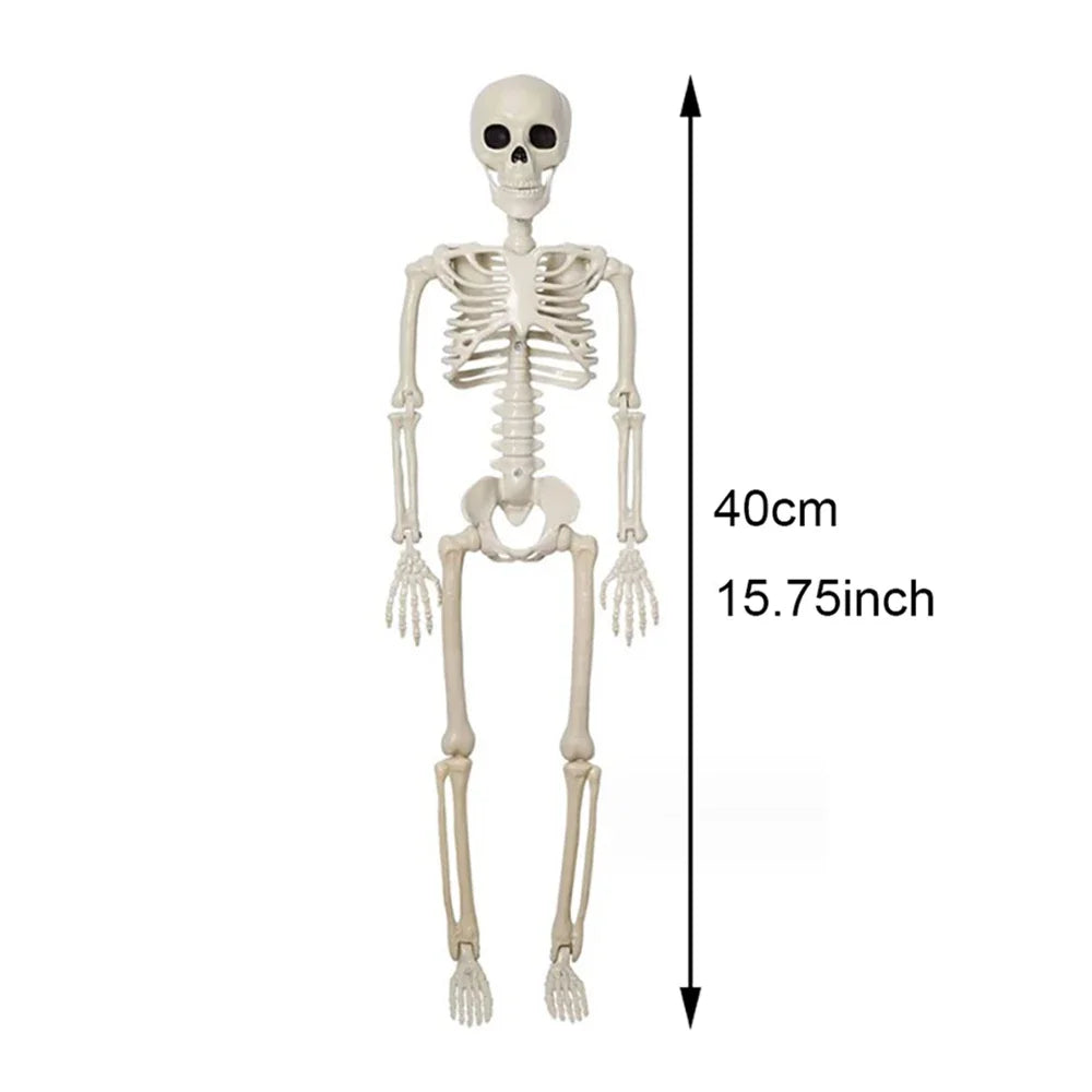 Halloween Decorations Skeleton,3 Foot Posable Human Shape Skeleton,Halloween Fake Bone Horror Decoration